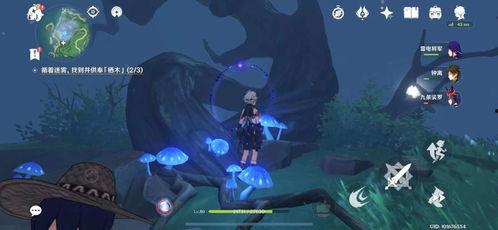 火傀儡怎么做视频,从构思到成品的完整教程